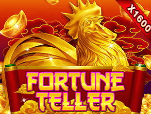 Fortune Teller game cover